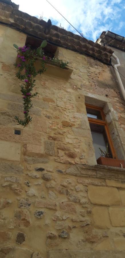 Gites Chez Daniel "Languedoc" Florensac Экстерьер фото