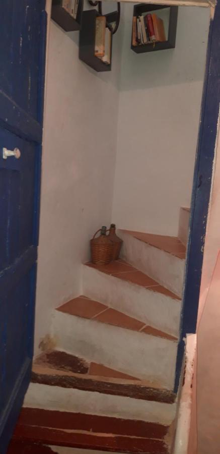 Gites Chez Daniel "Languedoc" Florensac Экстерьер фото