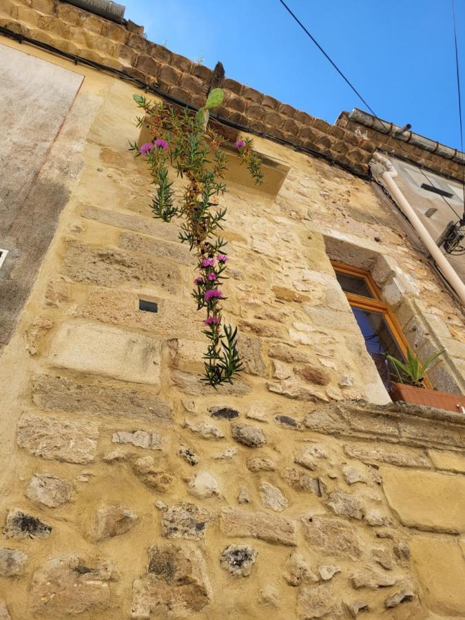 Gites Chez Daniel "Languedoc" Florensac Экстерьер фото